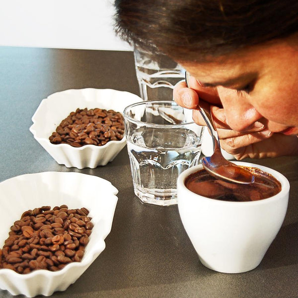 Cupping Löffel - ROFFEE COFFEE
